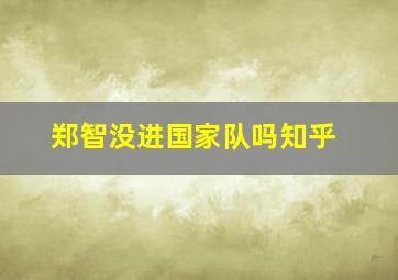 郑智没进国家队吗知乎