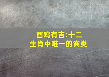 酉鸡有吉:十二生肖中唯一的禽类