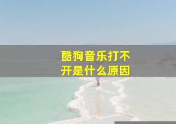 酷狗音乐打不开是什么原因