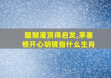 醍醐灌顶得启发,茅塞顿开心明镜指什么生肖