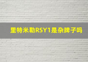 里特米勒RSY1是杂牌子吗