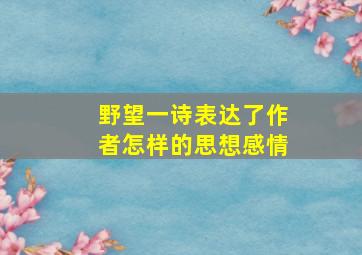 野望一诗表达了作者怎样的思想感情