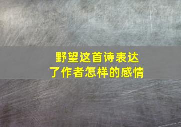 野望这首诗表达了作者怎样的感情