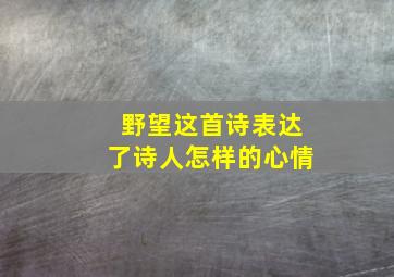 野望这首诗表达了诗人怎样的心情