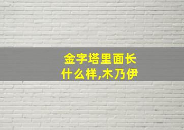 金字塔里面长什么样,木乃伊