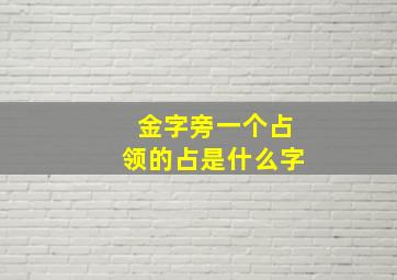 金字旁一个占领的占是什么字