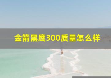 金箭黑鹰300质量怎么样