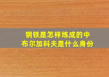 钢铁是怎样炼成的中布尔加科夫是什么身份