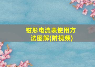 钳形电流表使用方法图解(附视频)