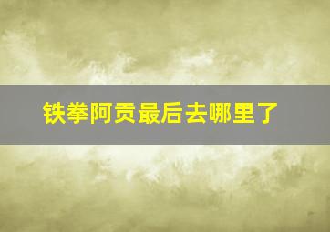 铁拳阿贡最后去哪里了