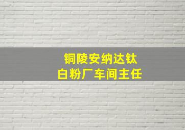 铜陵安纳达钛白粉厂车间主任