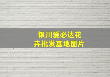 银川爱必达花卉批发基地图片