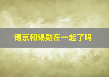 锡京和锡勋在一起了吗