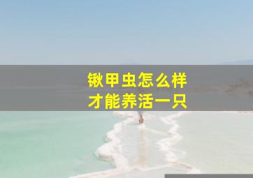 锹甲虫怎么样才能养活一只