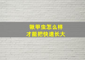 锹甲虫怎么样才能把快速长大