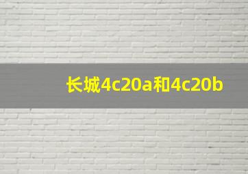 长城4c20a和4c20b