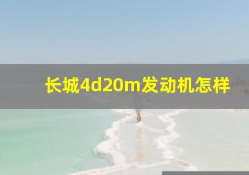 长城4d20m发动机怎样