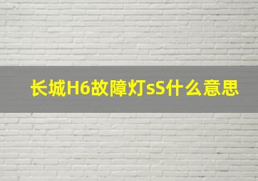 长城H6故障灯sS什么意思