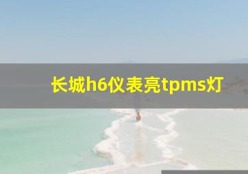 长城h6仪表亮tpms灯