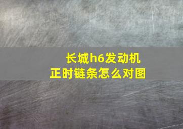 长城h6发动机正时链条怎么对图