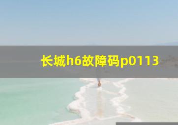 长城h6故障码p0113