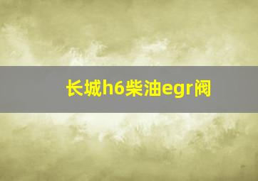 长城h6柴油egr阀