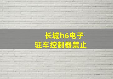 长城h6电子驻车控制器禁止