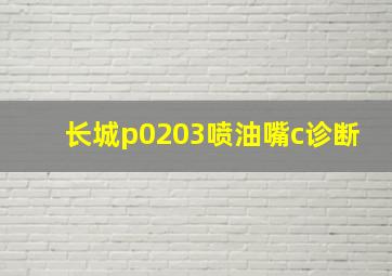 长城p0203喷油嘴c诊断