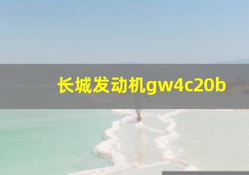 长城发动机gw4c20b