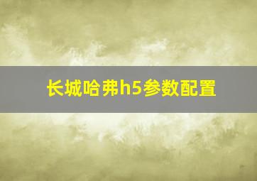 长城哈弗h5参数配置