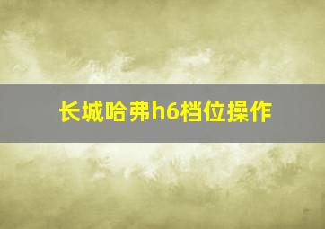 长城哈弗h6档位操作