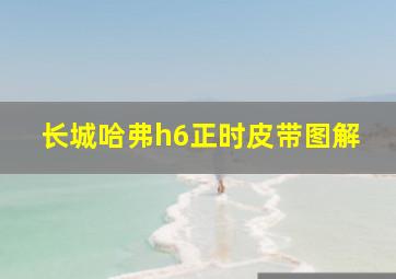 长城哈弗h6正时皮带图解