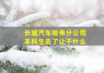 长城汽车哈弗分公司本科生去了让干什么