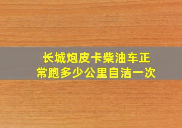 长城炮皮卡柴油车正常跑多少公里自洁一次