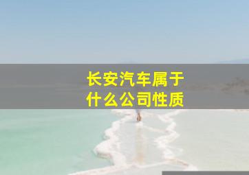 长安汽车属于什么公司性质