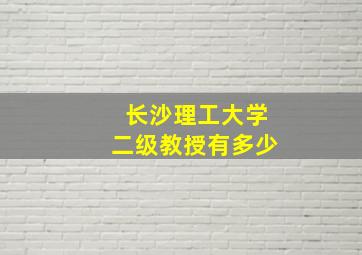 长沙理工大学二级教授有多少