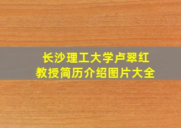 长沙理工大学卢翠红教授简历介绍图片大全