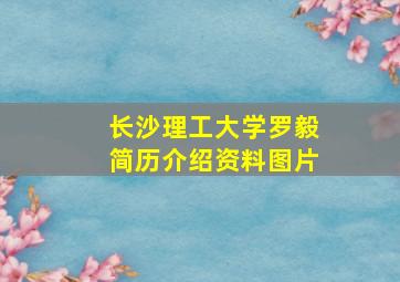 长沙理工大学罗毅简历介绍资料图片