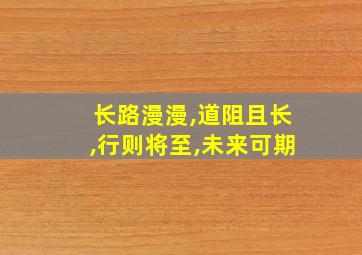 长路漫漫,道阻且长,行则将至,未来可期