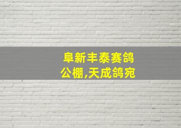 阜新丰泰赛鸽公棚,天成鸽宛