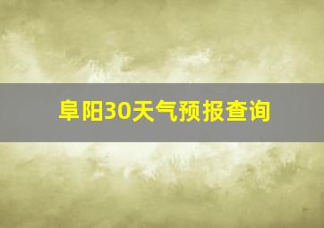 阜阳30天气预报查询