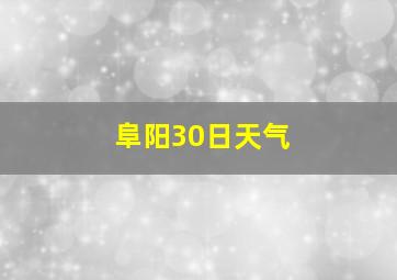 阜阳30日天气