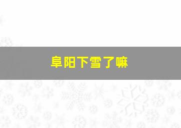 阜阳下雪了嘛