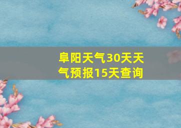 阜阳天气30天天气预报15天查询