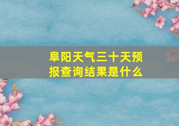 阜阳天气三十天预报查询结果是什么