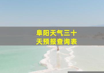 阜阳天气三十天预报查询表