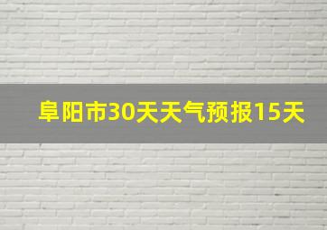 阜阳市30天天气预报15天