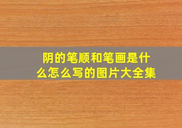 阴的笔顺和笔画是什么怎么写的图片大全集