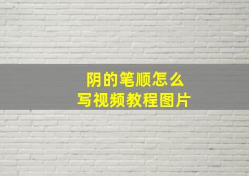 阴的笔顺怎么写视频教程图片