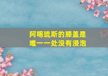 阿喀琉斯的膝盖是唯一一处没有浸泡